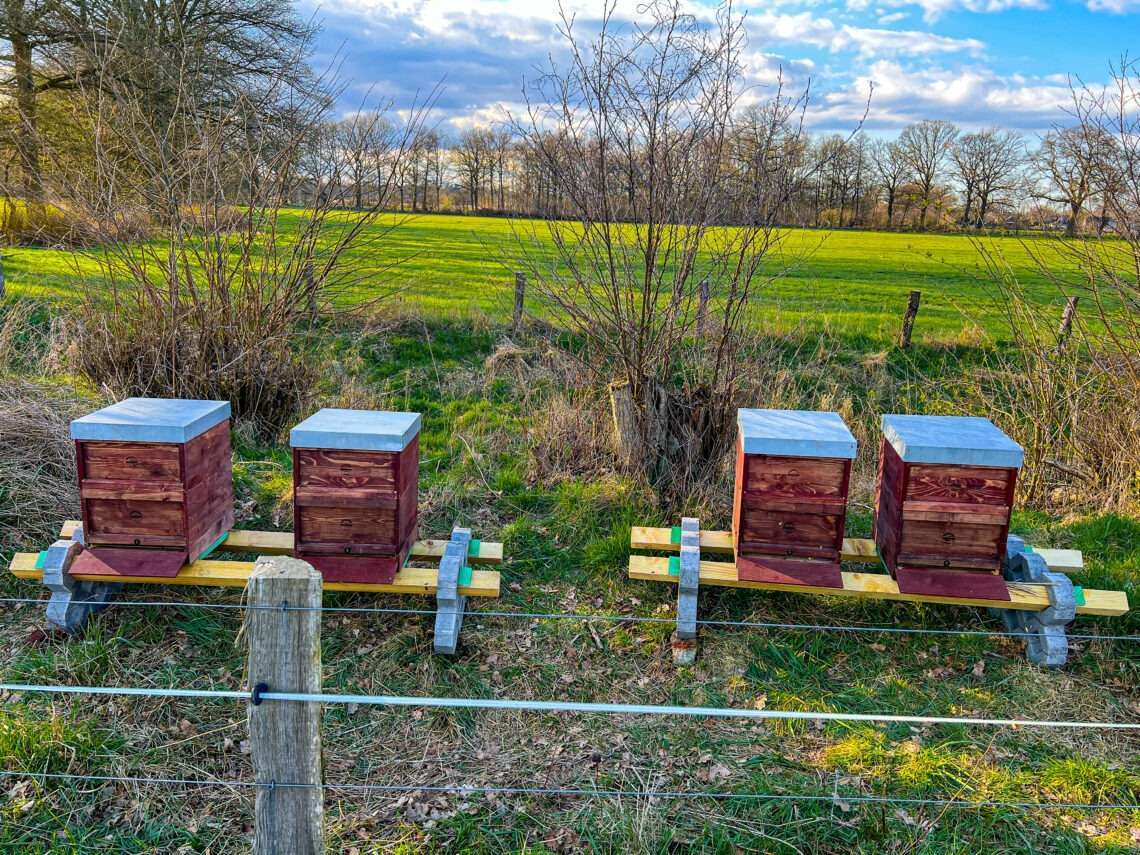 Bienenstand der Dunklen Bienen an der Kuhweide